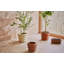 Awa Round Clay Planter