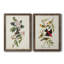 Pl 103 Canada Warbler - Ensemble de 2 reproductions d'art sur toile-1024420333-1024420243