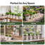Plant Stand