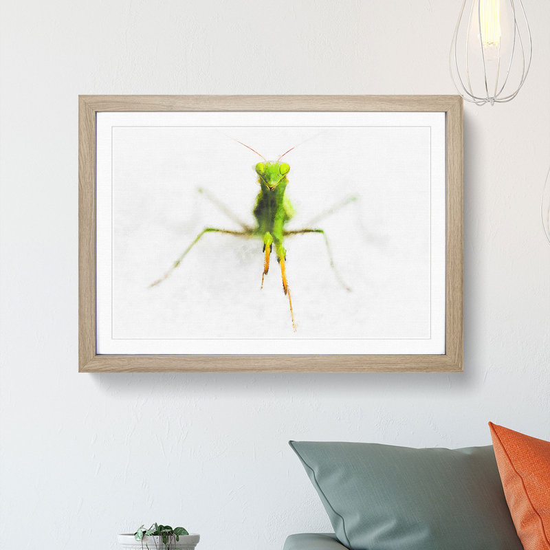 Praying Mantis - Picture Frame Painting Print, 24cm H x 33cm W x 2cm D, Oak Framed