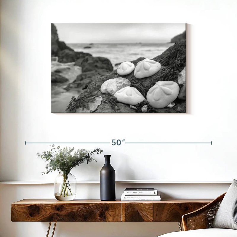 White Crescent Beach Shells IV, 24" H x 36" W