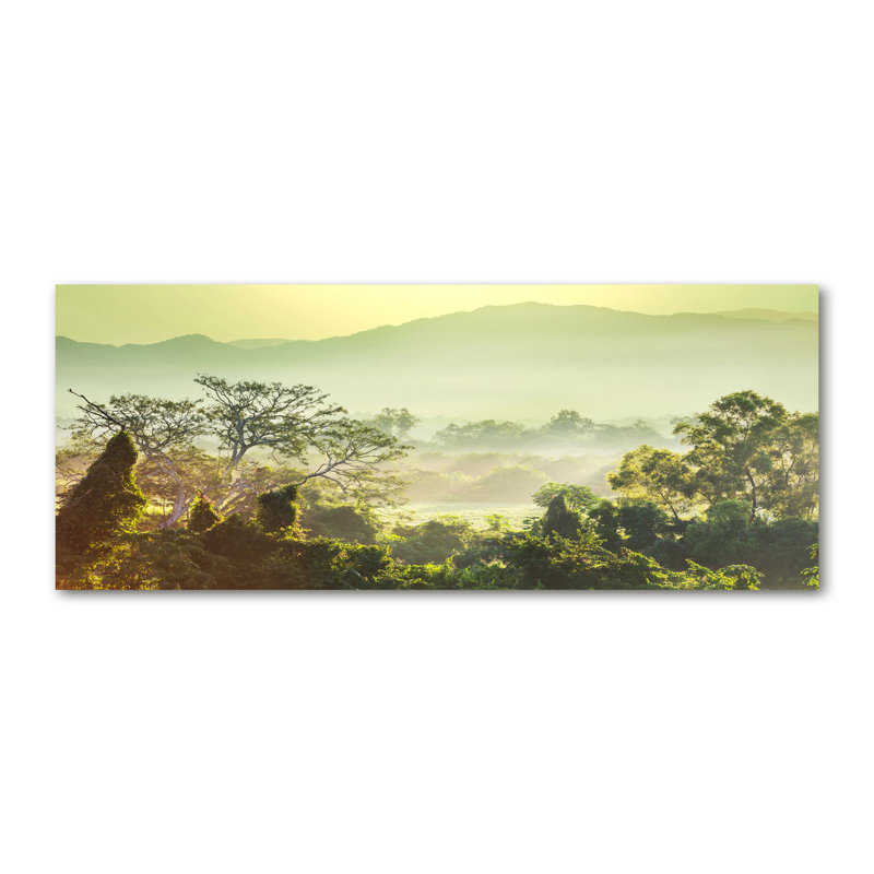 Jungle - Wrapped Canvas Print