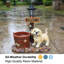 Statue de jardin Labrador