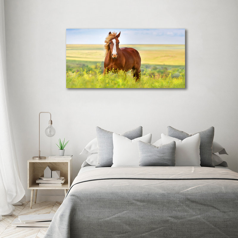 Brown Horse - Wrapped Canvas Print