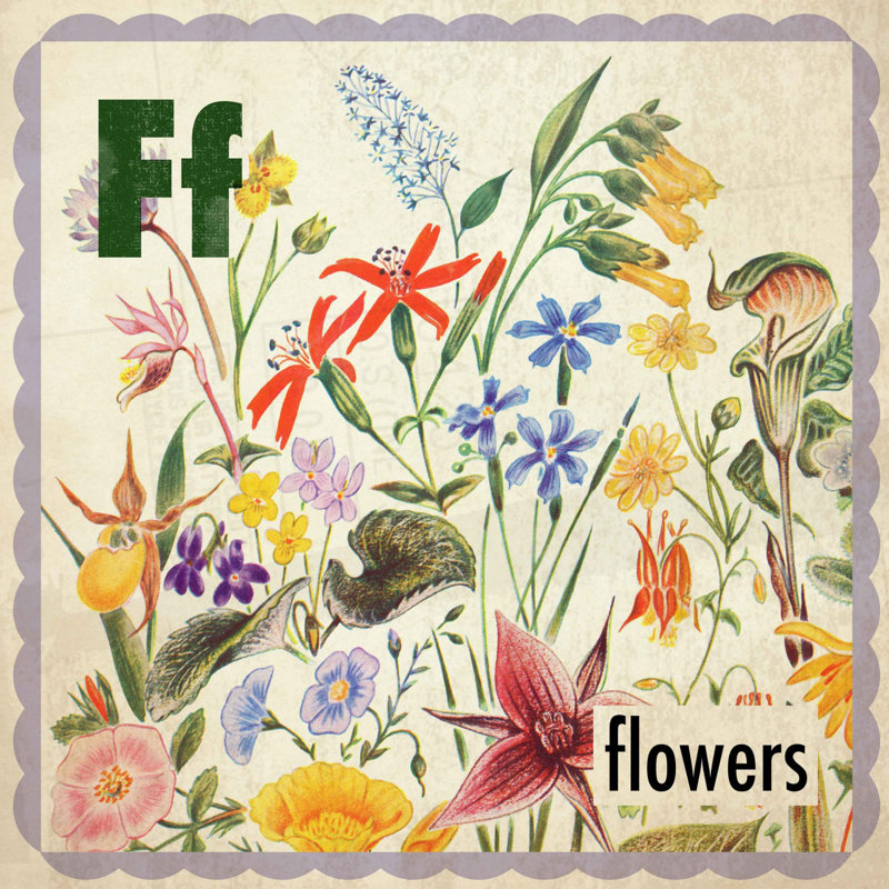 Flowers - Wrapped Canvas Print, 102cm H x 102cm W