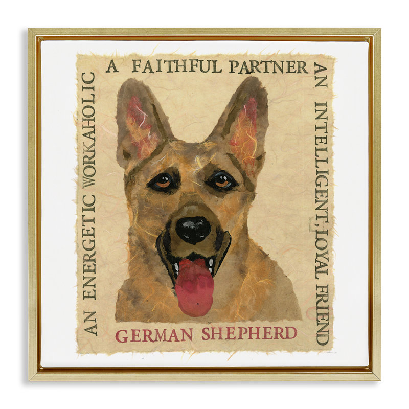 "Fun German Shepherd", art mural encadré flottant par Nancy Overton, Cadre flottant métallique doré, H 18 po x l 18 po