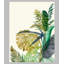 Tropix II Print by Sara Brown-26772566-26772567