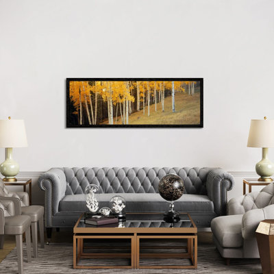 Aspen Trees In A Field, Ouray County, Colorado, USA by Panoramic Images - Floater Frame Panoramic Gallery-Wrapped Canvas Giclée on Canvas
