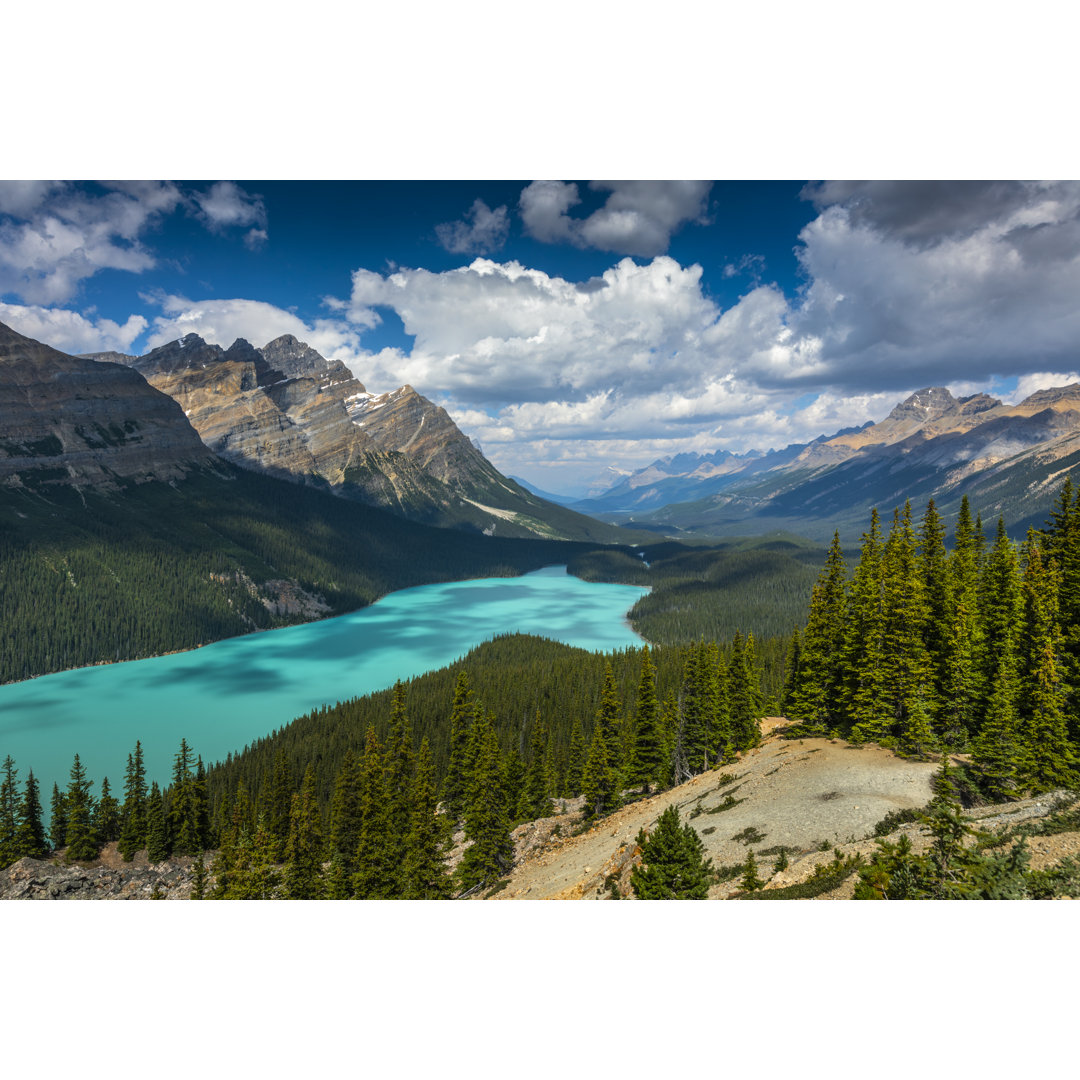 Peyto See von Schroptschop - Leinwandbild