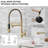 FLG Pull Down Kitchen Faucet