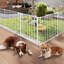 Barrière murale pour animaux-61775079