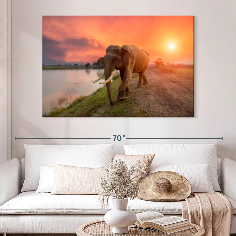 Éléphant de Surin, Thaïlande, H 34 po x l 51 po