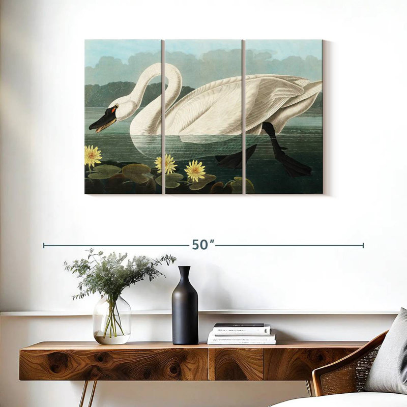 Cygne d'Amérique commun Brampt, H 24 po x l 38 po