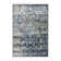 Oriental Indoor Rug
