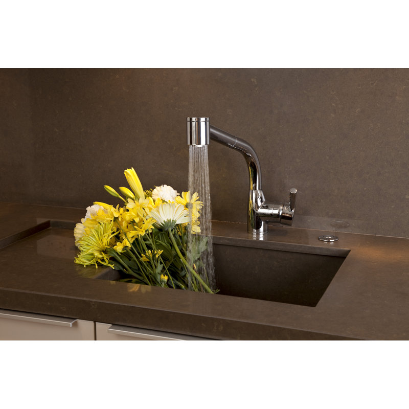 Waste Disposal Control Box with Air Switch, Matte Black
