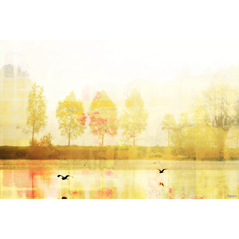 Parvez Taj - Wrapped Canvas Print, 51cm H x 76cm W