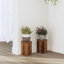 Plant Stand - Set of 2-105619916-122938319