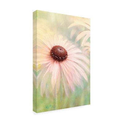 «Modern and Contemporary Peachy On Canvas» par Jacky Parker, reproduction