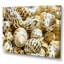 Gros plan de coquillages - art mural nautique et côtier sur toile-1724102478-1724102519