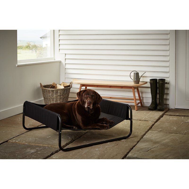 Katia Polyester Pet Bed, Large (85cm W x 85cm D x 33cm H)