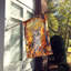 Chat en feuilles d'automne-112700477