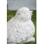 13,5 x 8,5 x 9,5 po Bloch animaux figurines et sculptures