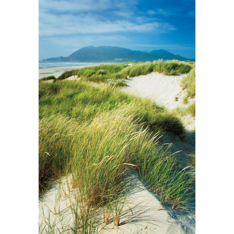Oregon Dunes Grass by Alan Majchrowicz - Wrapped Canvas Print, 30cm H x 20cm W