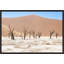 Namibian Skeleton Trees IX Print by Richard Silver-73326634-73368826