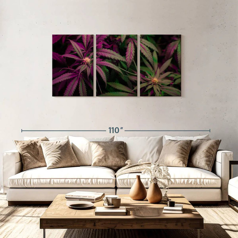 Lavander Marijuana, 36" H x 74" W
