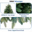 Arbres de Noël naturels verts pré-éclairés avec lumières multicolores arc-en-ciel, options 6,5 pi et 7,5 pi avec base en métal-2016230698
