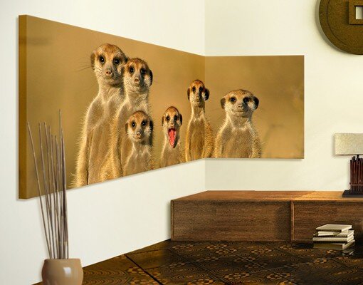 2-tlg. Leinwandbilder-Set Meerkat Family