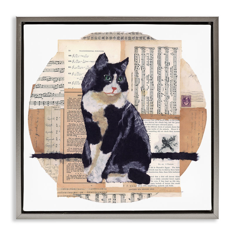 «Tuxedo Cat Collage» par Nancy Overton, Cadre flottant gris lustré, H 25 po x l 25 po