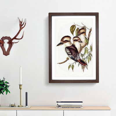 Great Brown Kingfishers by Elizabeth Gould - Picture Frame Painting Print