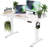 Electric Height Adjustable Standing Desk with Hooks-1887789152-1887789159