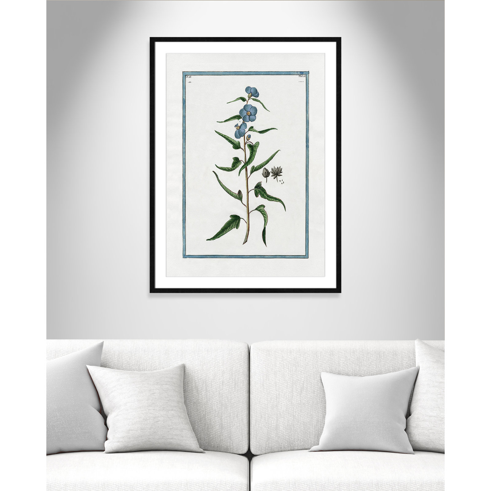 Colombe "Shabby Elegance Botanical I" Print, Black Framed, 25.5" W x 35.5" H