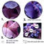 «Midnight Purple Irises Serenity» dévoilé sur toile-1443207393-1443207420