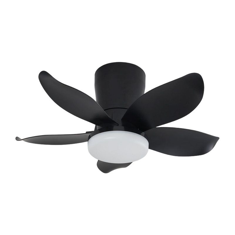 Ceiling Fan with LED Lights, Black