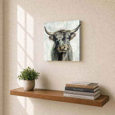 Vache Highland