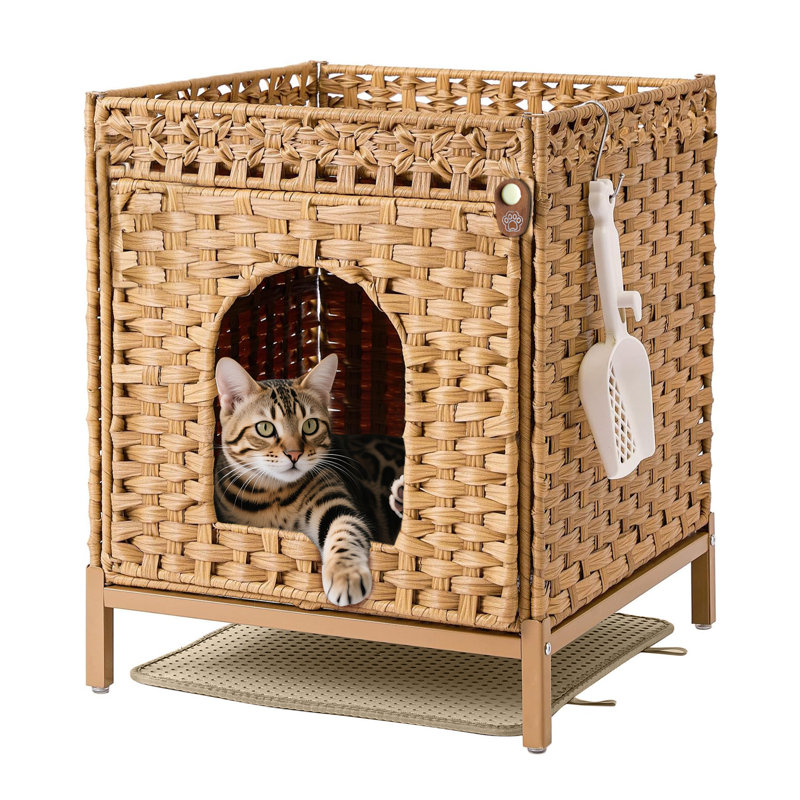  Enclos pour chat avec bac à litière caché avec pieds en métal, maison de chat en rotin tissée à la main