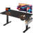 Electric Height Adjustable Standing Desk With Storage, Home Office Computer Desk With Led Lights-1689909277-1689909276-1689909274