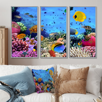 Coral Reef Coral Colony - ensemble d'art mural sur toile encadré nautique de 3