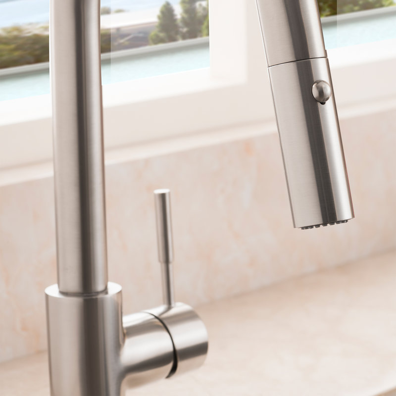 Arthur Single Handle Kitchen Faucet with Side Spray and Accessories, Brushed Nickel