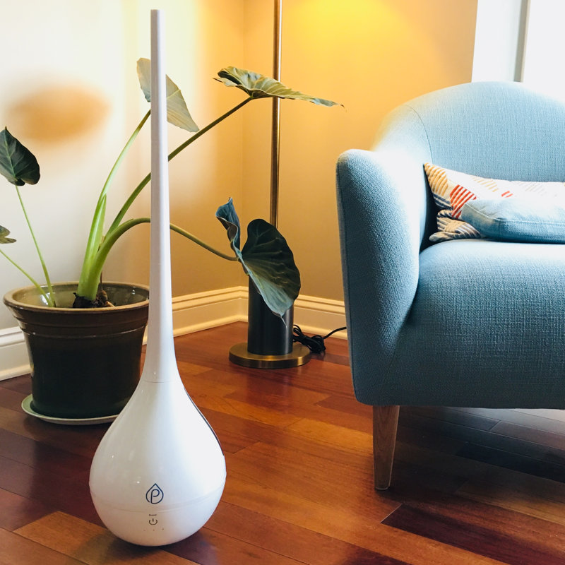Humidificateur et purificateur à double usage avec un recharge