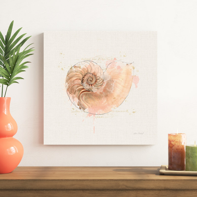 Coquille de collection II, H 20 po x l 20 po x P 1,25 po