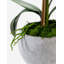 Victoria Ceramic Realtouch Orchid