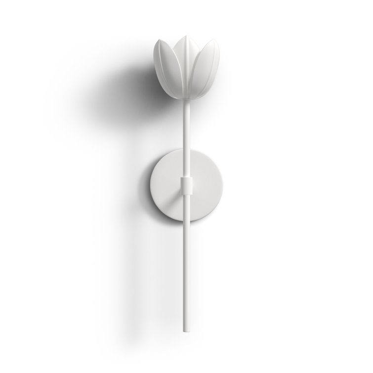 Dario Single Light Steel Dimmable Wallchiere