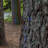 LED Net Lights-921781173