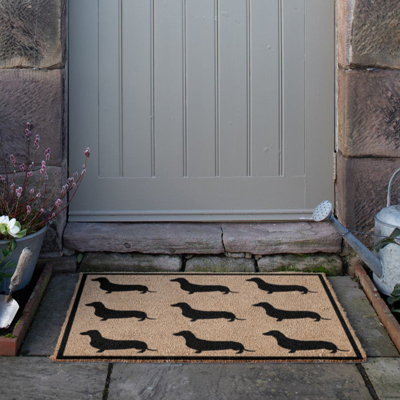 Beckwith Area Rug