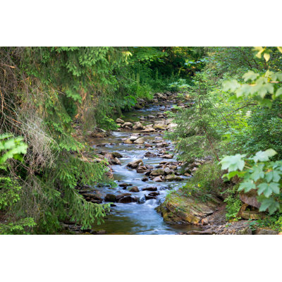 Mountain River in Wood - Photographie sur toile tendue
