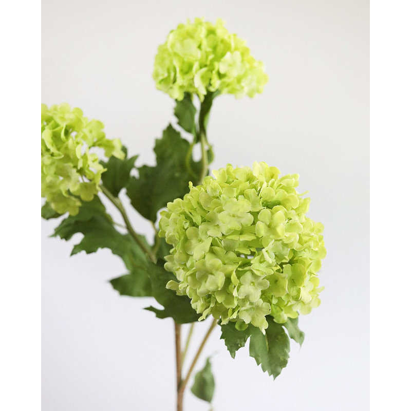 Premium Cream Snowball 33", Green